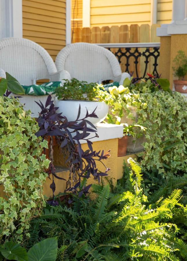 Auld Sweet Olive Bed And Breakfast Nueva Orleans Exterior foto